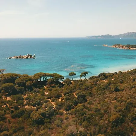 Porto-vecchio Palombaggia Azaitu * Porto-Vecchio (Corsica)