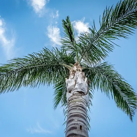 Вилла Porto-vecchio Palombaggia Azaitu Порто-Веккьо