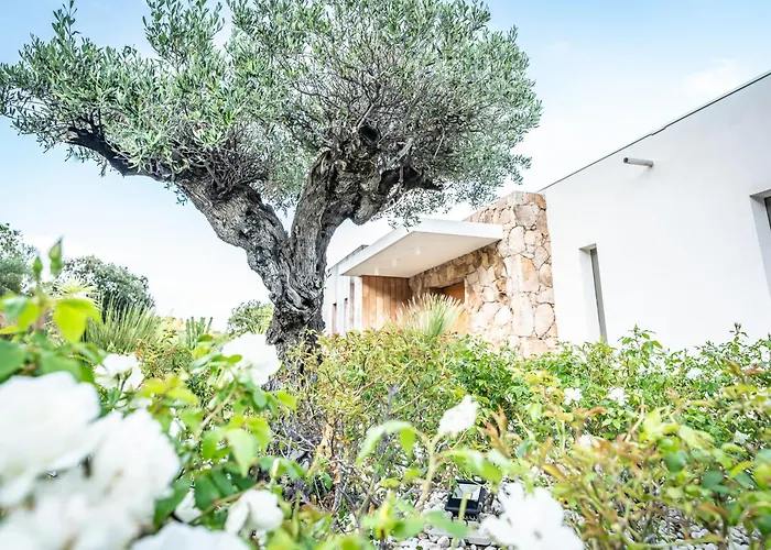 Porto-vecchio Palombaggia Azaitu فيلة