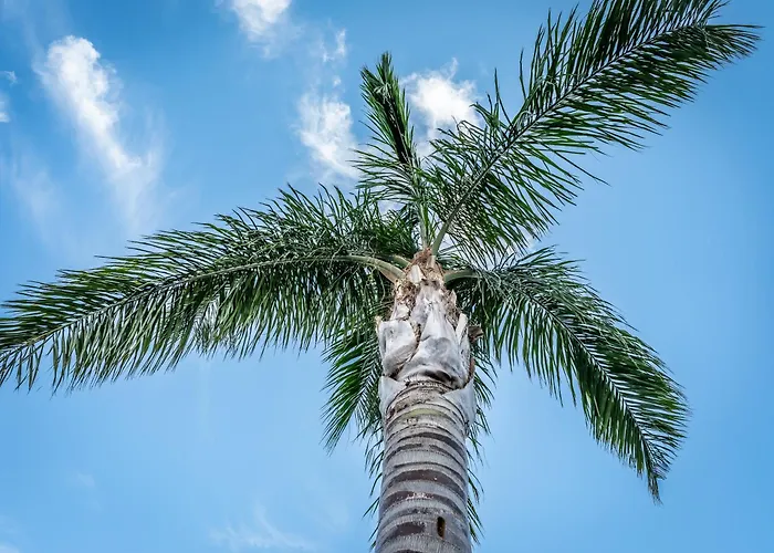 Villa Porto-vecchio Palombaggia Azaitu Porto-Vecchio (Corsica)